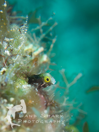Cozumel2017_170928_115919