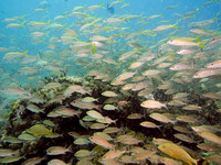 Bimini_170310_113915