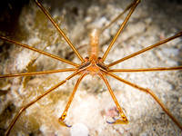 Bimini_170310_114558
