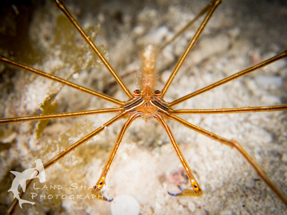 Bimini_170310_114558