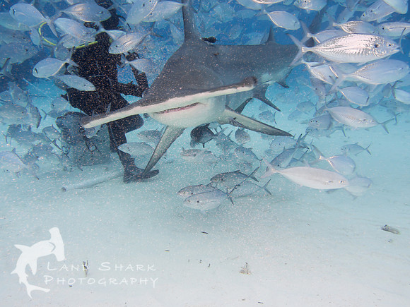 Bimini_170312_125425