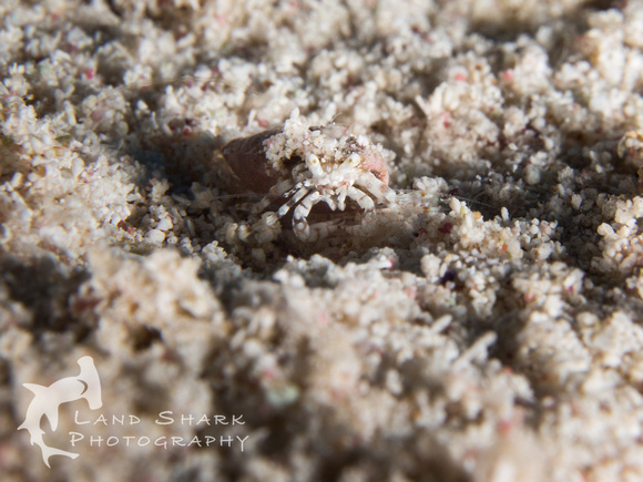 LittleCayman_160817_123206