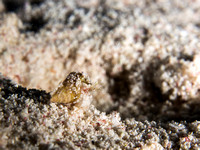 LittleCayman_160817_123252