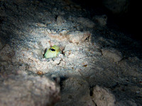 LittleCayman_160817_124644