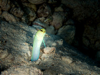 LittleCayman_160817_124752