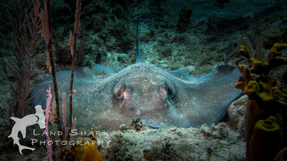 LittleCayman_160818_113949