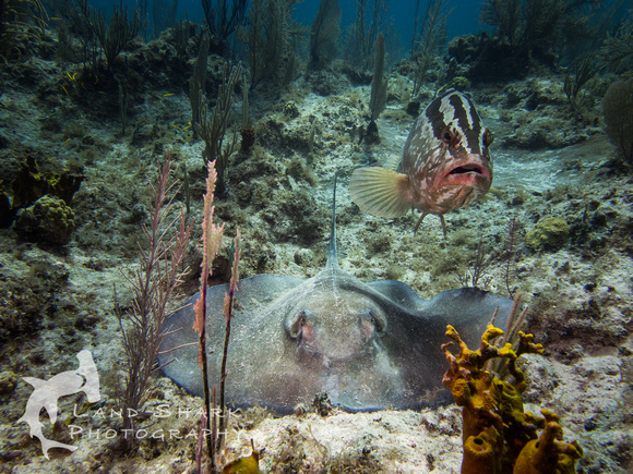 LittleCayman_160818_114104