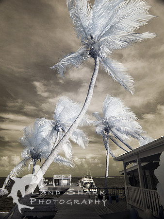 LittleCayman_Infrared_160815_173127