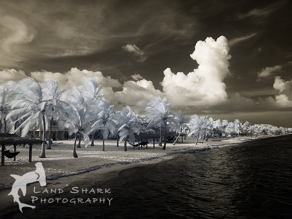 LittleCayman_Infrared_160815_173837